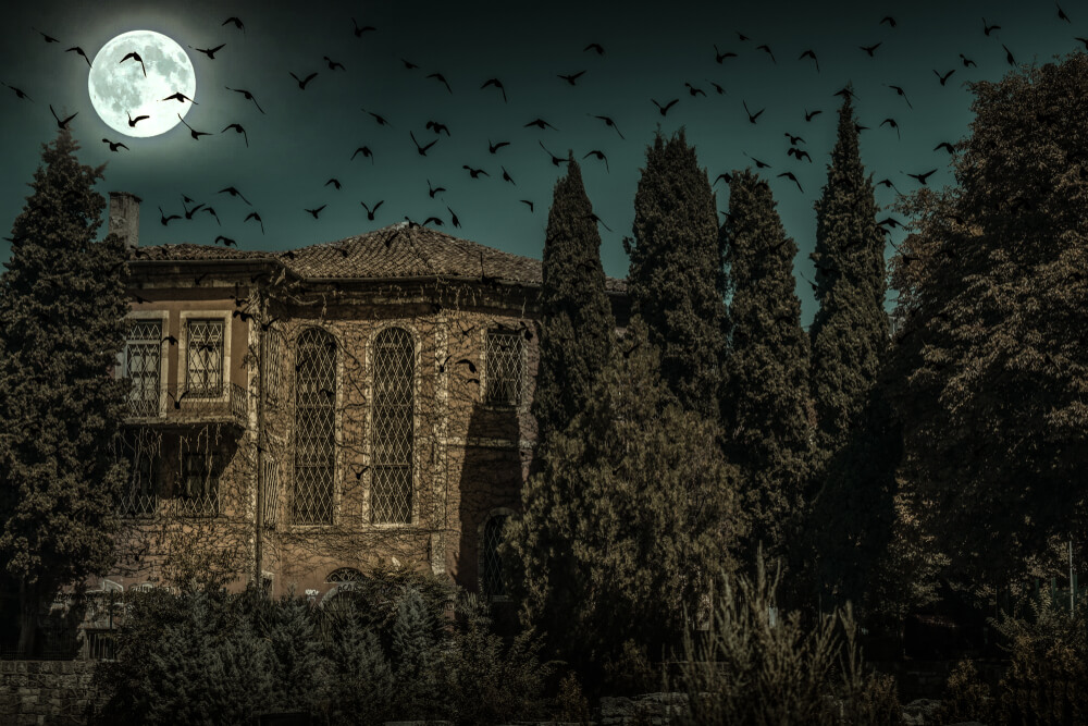 Murder at the Folly